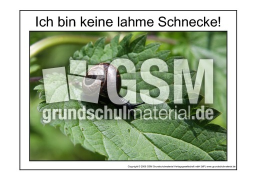Lahme-Schnecke-2.pdf
